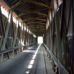 jerry-collins-hb-250